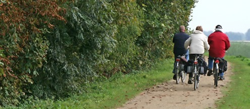 inner_panel_bicycle